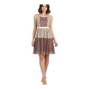 Areve Dress Lace Tulle Mesh Fully Lined Holiday Party Recital Twee Balletcore